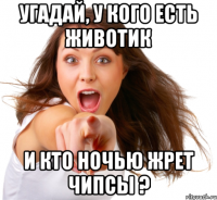 угадай, у кого есть животик и кто ночью жрет чипсы ?