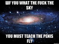 Шf you what the fuck the sky you must teach the penis fly