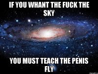 IF you whant the fuck the sky you must teach the penis fly