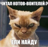 читал Котов-Воителей ? ели найду