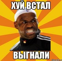 хуй встал выгнали