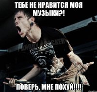 Тебе не нравится моя музыки?! поверь, мне похуй!!!!