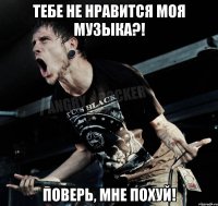 тебе не нравится моя музыка?! поверь, мне похуй!