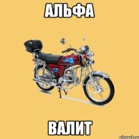 альфа валит