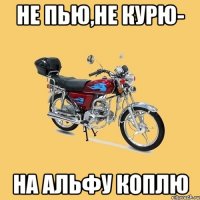 не пью,не курю- на альфу коплю