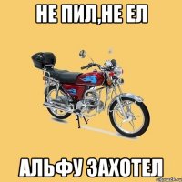 не пил,не ел альфу захотел