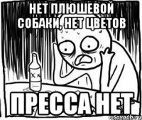 нет плюшевой собаки, нет цветов пресса нет