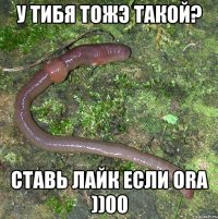 у тибя тожэ такой? ставь лайк если ora ))00