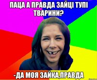 паца а правда зайці тупі тварини? -ДА МОЯ ЗАЙКА,ПРАВДА