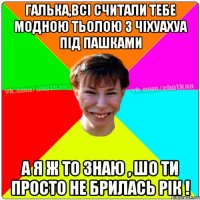 галька,всі считали тебе модною тьолою з чіхуахуа під пашками а я ж то знаю , шо ти просто не брилась рік !