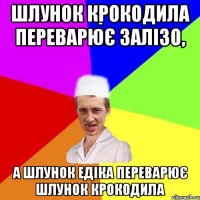 шлунок крокодила переварює залізо, а шлунок едіка переварює шлунок крокодила