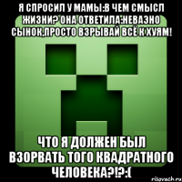 Я спросил у мамы:в чем смысл жизни? Она ответила:Неваэно сынок,просто взрывай всё к хуям! Что я должен был взорвать того квадратного человека?!?:(