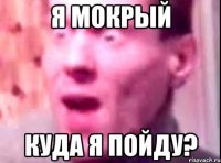 Я мокрый Куда я пойду?