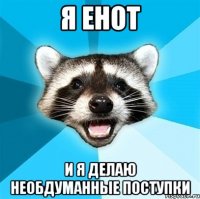 я енот и я делаю необдуманные поступки