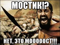 Мостик!? Нет, это МОООООСТ!!!