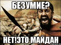 Безумие? Нет!Это Майдан