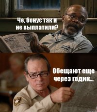 Че, бонус так и не выплатили? Обещают еще через годик...