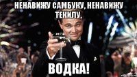 Ненавижу самбуку, ненавижу текилу, ВОДКА!