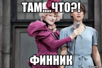 ТАМ....ЧТО?! финник