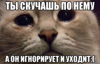 ты скучашь по нему а он игнорирует и уходит:(