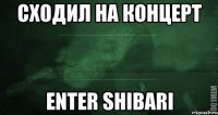 Сходил на концерт Enter Shibari