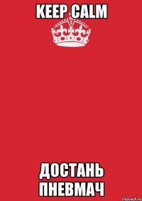 keep calm достань пневмач