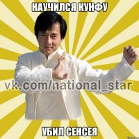 Научился кунфу Убил сенсея