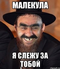 малекула я слежу за тобой