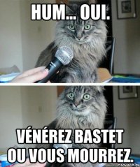 Hum... Oui. Vénérez Bastet ou vous mourrez.