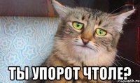  ты упорот чтоле?