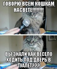 говорю всем кошкам насвете!!!!!!!! вы знали как весело ходить под дверь в туалет???