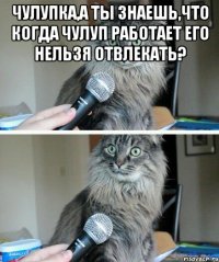 Чулупка,а ты знаешь,что когда Чулуп работает его нельзя отвлекать? 