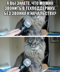 А вы знаете, что можно звонить в техподдержку, без звонка к начальству? 