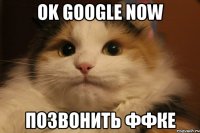 Ok google now Позвонить ффке