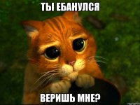 ты ебанулся веришь мне?