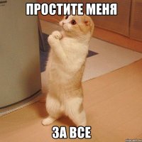 ПРОСТИТЕ МЕНЯ ЗА ВСЕ