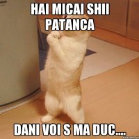 hai micai shii patanca dani voi s ma duc....