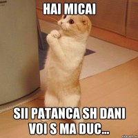 hai micai sii patanca sh dani voi s ma duc...