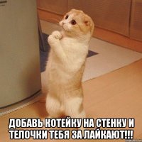  ДОБАВЬ КОТЕЙКУ НА СТЕНКУ И ТЕЛОЧКИ ТЕБЯ ЗА ЛАЙКАЮТ!!!