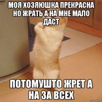 Моя хозяюшка прекрасна но жрать а на мне мало даст Потомушто жрет а на за всех