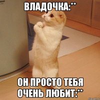 Владочка:** Он просто тебя очень любит:**