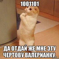 1001101 Да отдай же мне эту чертову валерианку.