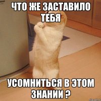 Что же заставило тебя усомниться в этом знании ?