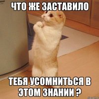 Что же заставило тебя усомниться в этом знании ?