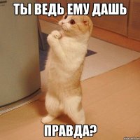 ты ведь ему дашь правда?