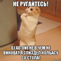 НЕ РУГАЙТЕСЬ! DJ AD-ONE НЕ В ЧЕМ НЕ ВИНОВАТ,Я СПИЗДЕЛ КОЛБАСУ СО СТОЛА!