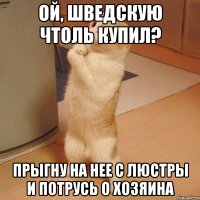 ой, шведскую чтоль купил? прыгну на нее с люстры и потрусь о хозяина