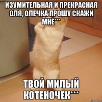 Изумительная и прекрасная Оля, Олечка прошу скажи мне*** Твой милый котеночек***