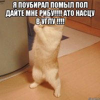 Я поубирал помыл пол дайте мне рибу!!!! ато насцу в углу !!!! 