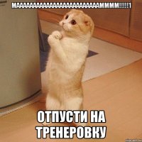 Мааааааааааааааааааааааааамммм!!!!!1 Отпусти на тренеровку